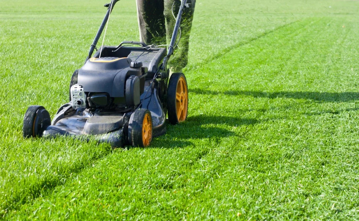 Spring Cleanup: How To Organize Lawn And Gardening Tools Spring Cleanup: How to Organize Lawn and Gardening Tools