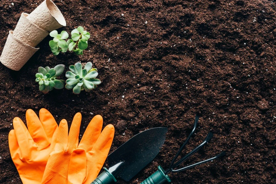 Spring Cleanup: How To Organize Lawn And Gardening Tools Spring Cleanup: How to Organize Lawn and Gardening Tools