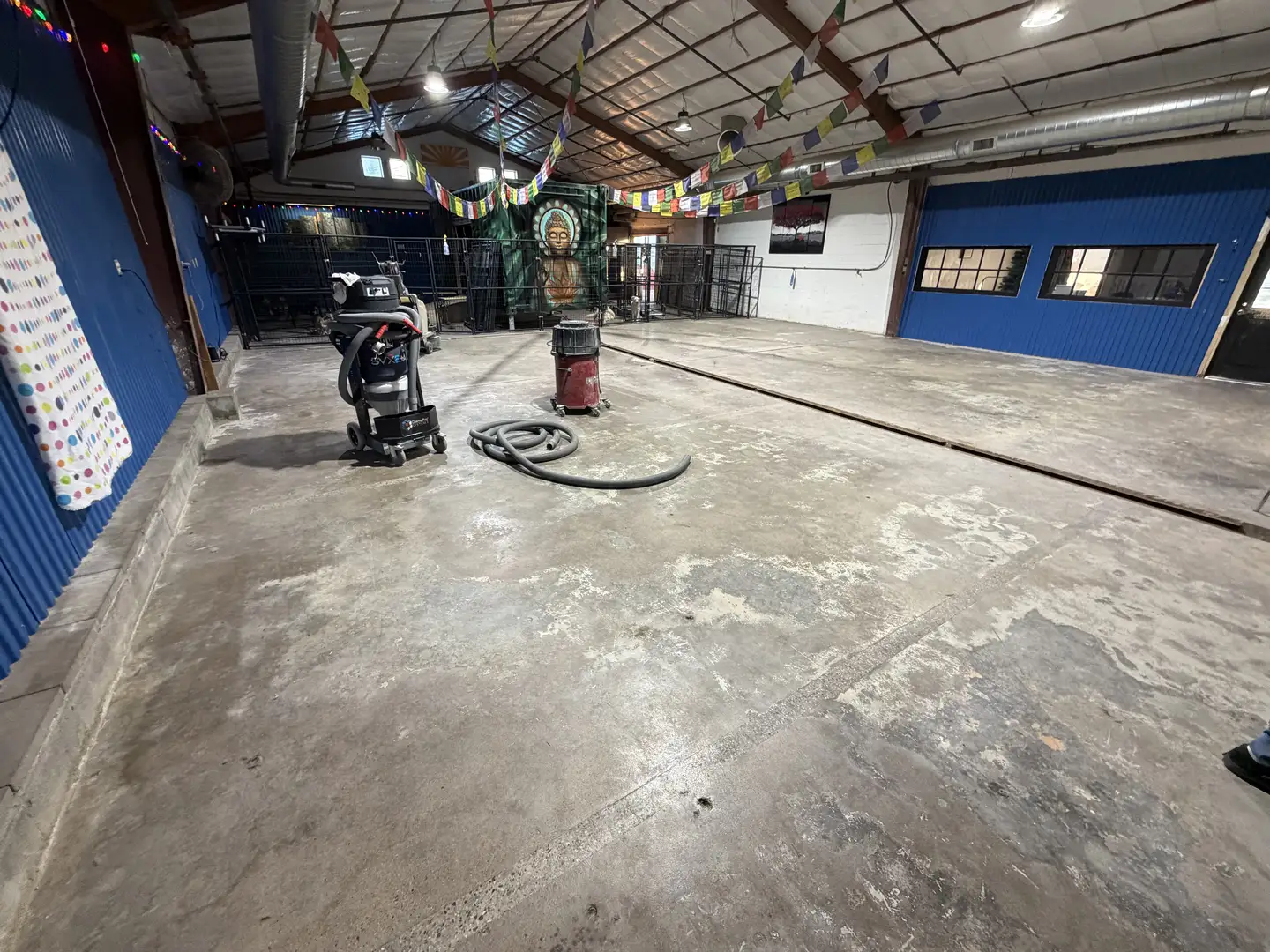 Phoenix Doggy Daycare: Durable, Odor-Resistant Polyaspartic Floor