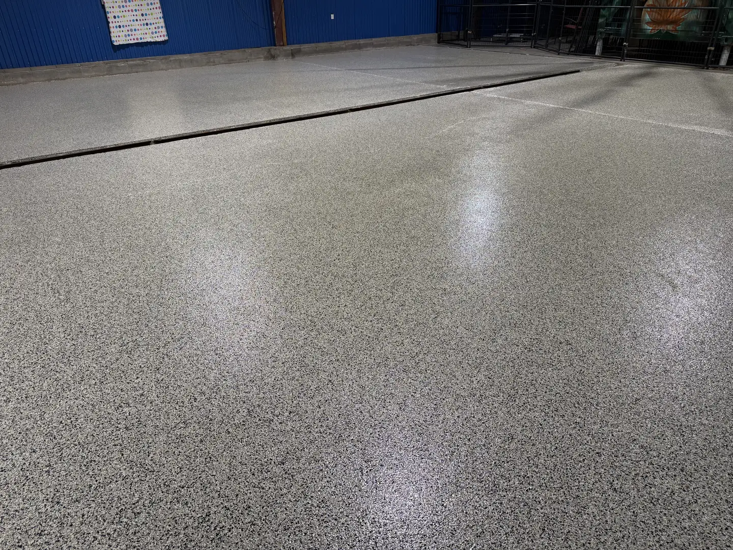 Phoenix Doggy Daycare: Durable, Odor-Resistant Polyaspartic Floor