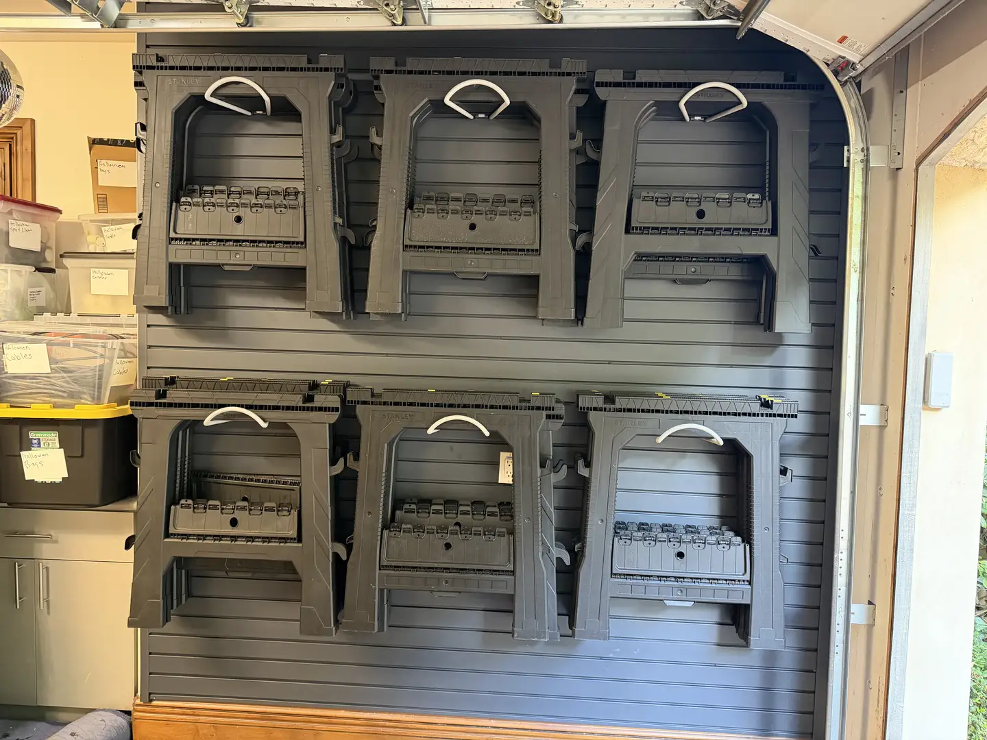 Phoenix Luxury Garage: High-Capacity, Modern Organization